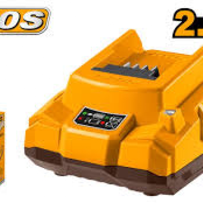 Fast Inteligent Charger 20V 